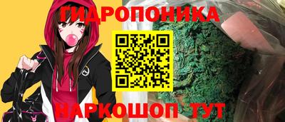 стаф Новодвинск