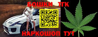 шишки Новокубанск