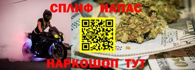стаф Новодвинск