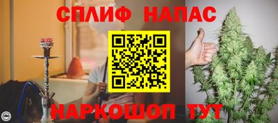 шишки Новокубанск