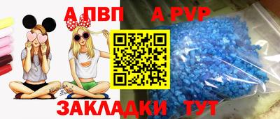 стаф Новодвинск