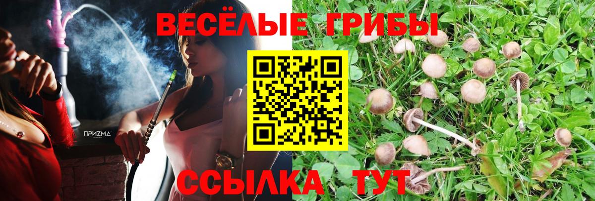 Галлюциногенные грибы MAGIC MUSHROOMS  Вход с VPN  Дятьково 