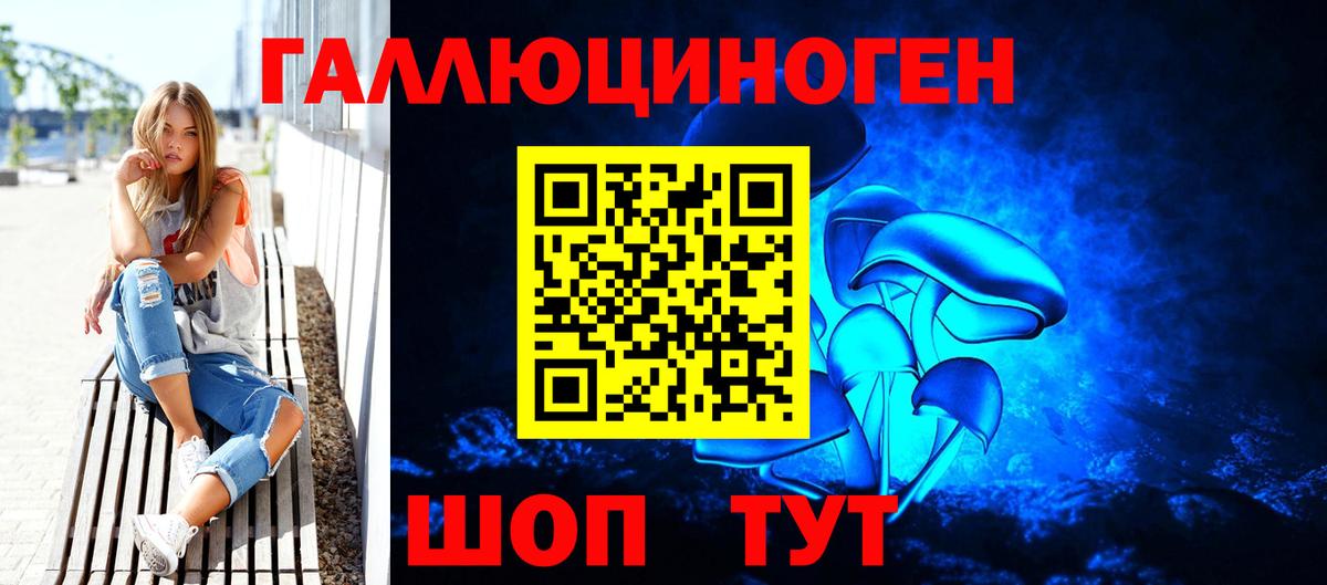 Псилоцибиновые грибы Cubensis Дятьково